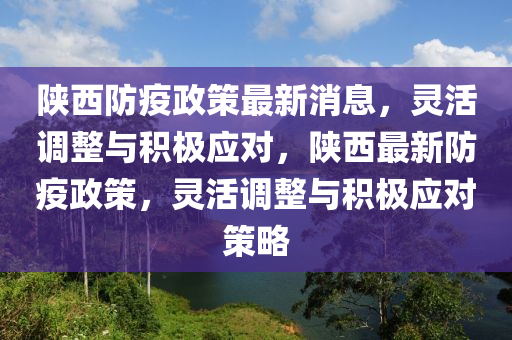 陜西防疫政策最新消息，靈活調(diào)整與積極應(yīng)對，陜西最新防疫政策，靈活調(diào)整與積極應(yīng)對策略