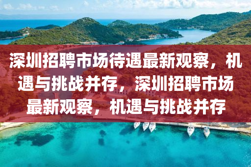 深圳招聘市場待遇最新觀察，機遇與挑戰(zhàn)并存，深圳招聘市場最新觀察，機遇與挑山東水清源環(huán)?？萍加邢薰緫?zhàn)并存