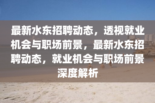 最新水東招聘動態(tài)，透視就業(yè)機會與職場前景，最新水東招聘動態(tài)，就業(yè)機會與職場前景深度解析山東水清源環(huán)?？萍加邢薰? class=