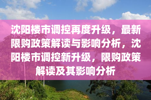 沈陽樓市調(diào)山東水清源環(huán)保科技有限公司控再度升級，最新限購政策解讀與影響分析，沈陽樓市調(diào)控新升級，限購政策解讀及其影響分析