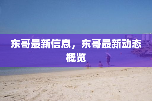 東哥最新信息，東哥最新動態(tài)概覽