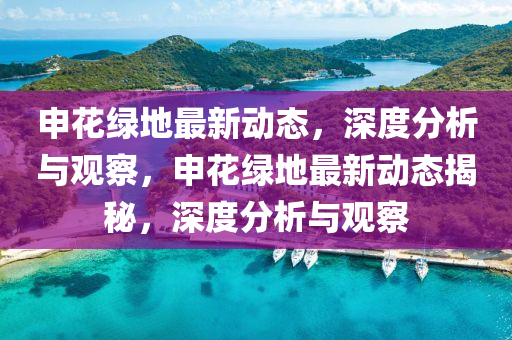 申花綠地最新動(dòng)態(tài)，深度分析與觀(guān)察，申花綠地最新動(dòng)態(tài)揭秘，深度分析與觀(guān)察山東水清源環(huán)?？萍加邢薰? class=