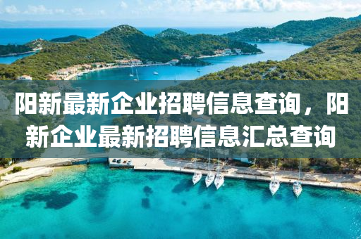 陽新最新企業(yè)招聘信息查詢，陽新企業(yè)最新招聘信息山東水清源環(huán)?？萍加邢薰緟R總查詢