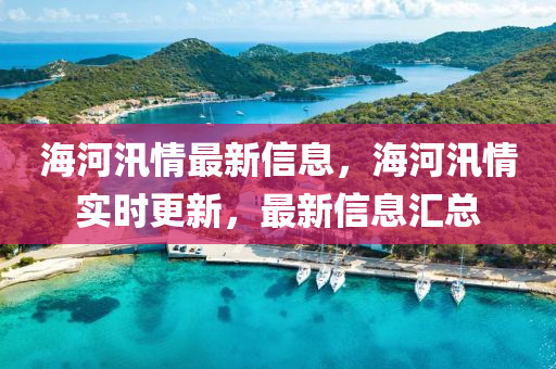 海河汛情最新信息，海河汛山東水清源環(huán)?？萍加邢薰厩閷?shí)時(shí)更新，最新信息匯總