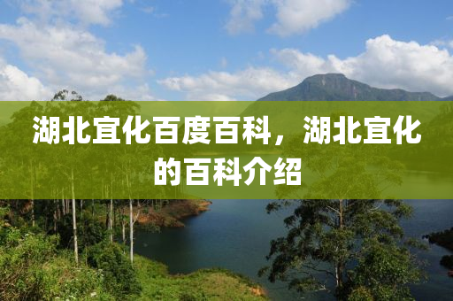 湖北宜化百度百科，湖北宜化的百科介紹山東水清源環(huán)保科技有限公司