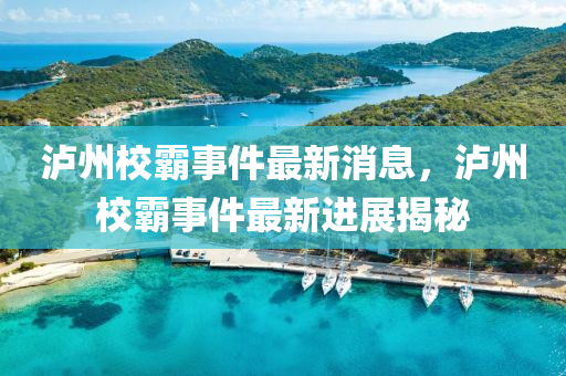 瀘州校霸事件最新消息，瀘州校霸事件最新進(jìn)展揭秘山東水清源環(huán)?？萍加邢薰? class=