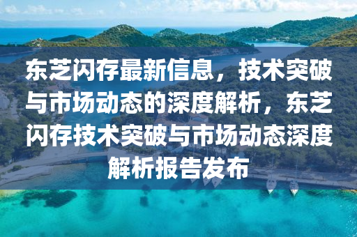 東芝閃存最山東水清源環(huán)?？萍加邢薰拘滦畔?，技術(shù)突破與市場動態(tài)的深度解析，東芝閃存技術(shù)突破與市場動態(tài)深度解析報告發(fā)布