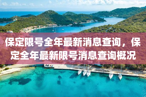 保定限號全年最新消息查詢，保定全年最新限號消息查山東水清源環(huán)?？萍加邢薰驹兏艣r