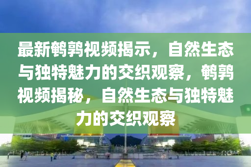 最新鵪鶉視頻揭示，自然生態(tài)與獨特魅力的交織觀察，鵪鶉視頻揭秘，自然生態(tài)與獨特魅力的交織觀察山東水清源環(huán)?？萍加邢薰? class=