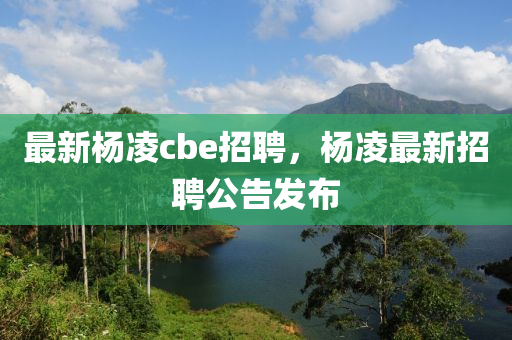 最新楊凌cbe招聘，楊凌最新招聘公告發(fā)布山東水清源環(huán)?？萍加邢薰? class=