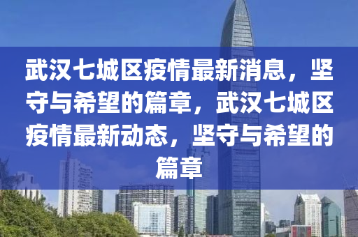 武漢七城區(qū)疫情最新消息，堅守與希望的篇章，武漢七城區(qū)疫情最新動態(tài)，堅守與希望的篇章山東水清源環(huán)保科技有限公司