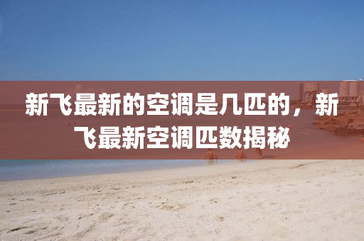 新飛最新的空調(diào)是幾匹的，新飛最新空山東水清源環(huán)?？萍加邢薰菊{(diào)匹數(shù)揭秘