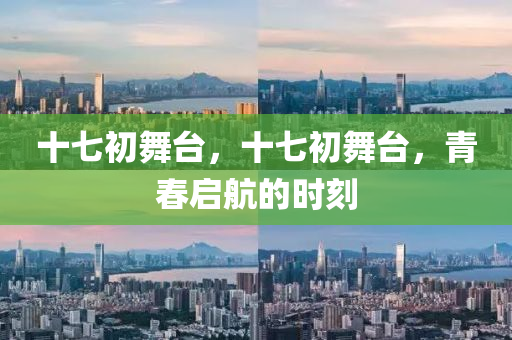 十山東水清源環(huán)?？萍加邢薰酒叱跷枧_(tái)，十七初舞臺(tái)，青春?jiǎn)⒑降臅r(shí)刻