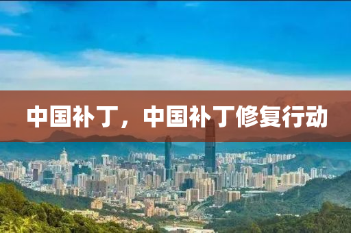 中國補丁山東水清源環(huán)?？萍加邢薰?，中國補丁修復(fù)行動