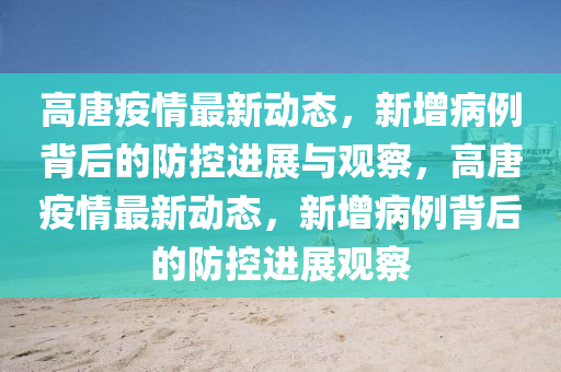 高唐疫情最新動態(tài)，新增病例背后的防控進展與觀察，高唐疫情最新動態(tài)，新增病例背后的防控進展觀察山東水清源環(huán)保科技有限公司