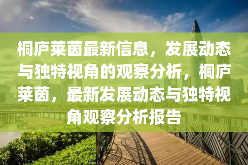 桐廬萊茵最新信息，發(fā)展動態(tài)與獨特視角的觀察分析，桐廬山東水清源環(huán)?？萍加邢薰救R茵，最新發(fā)展動態(tài)與獨特視角觀察分析報告