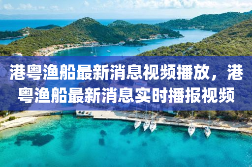 港粵漁船最新消山東水清源環(huán)?？萍加邢薰鞠⒁曨l播放，港粵漁船最新消息實時播報視頻
