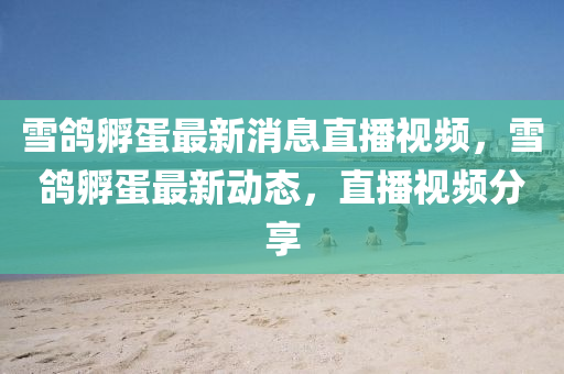 雪鴿孵蛋最新消息直播視頻，雪鴿孵蛋最新動態(tài)，直播視頻分享